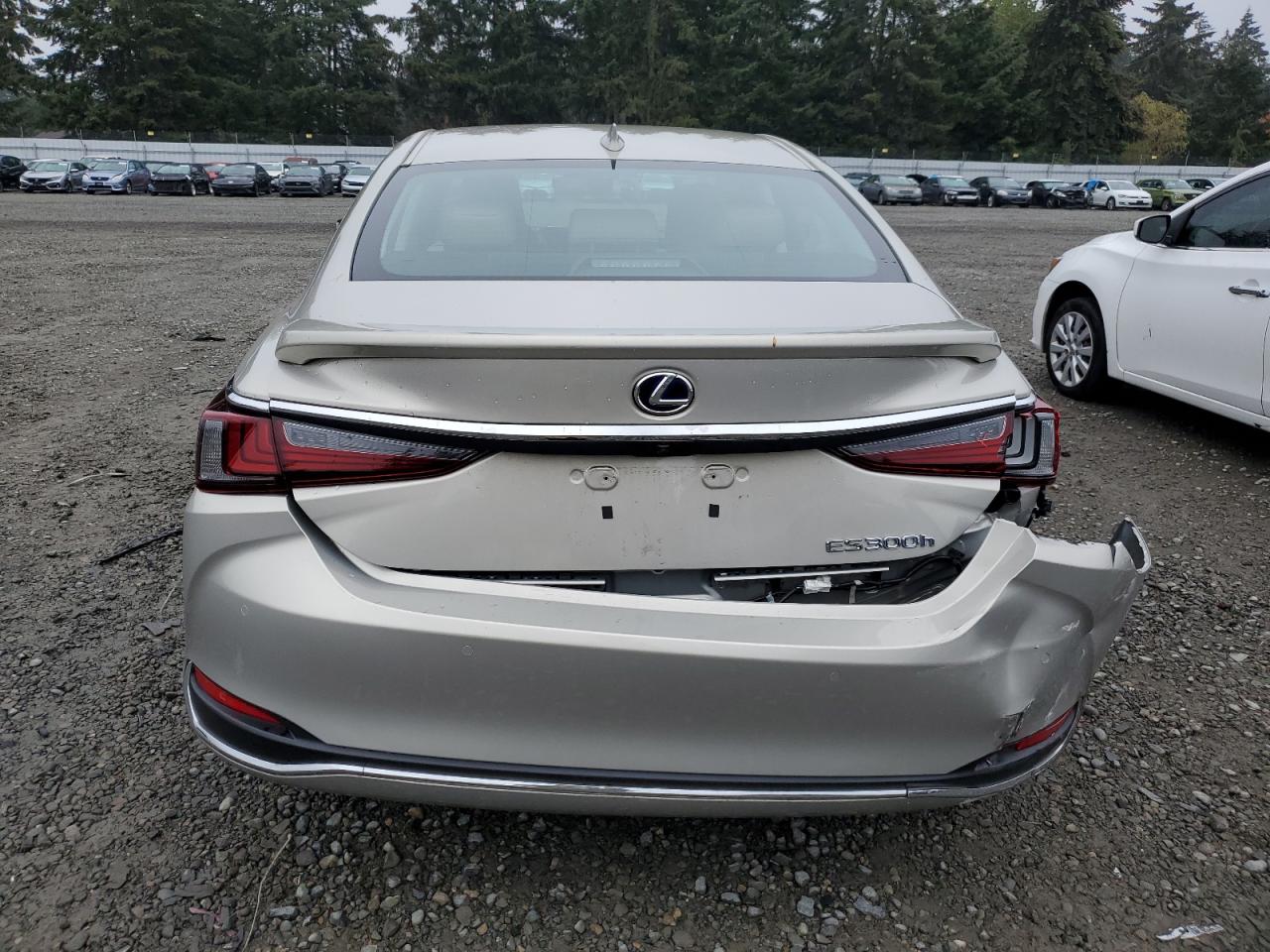 2021 Lexus Es 300H Luxury VIN: 58AEA1C11MU006664 Lot: 76311254