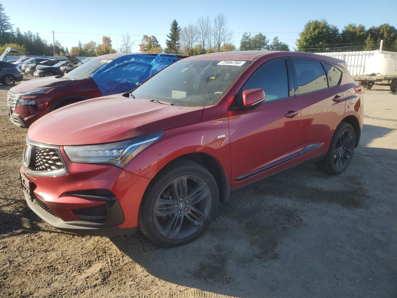 2019 Acura RDX - Image 1