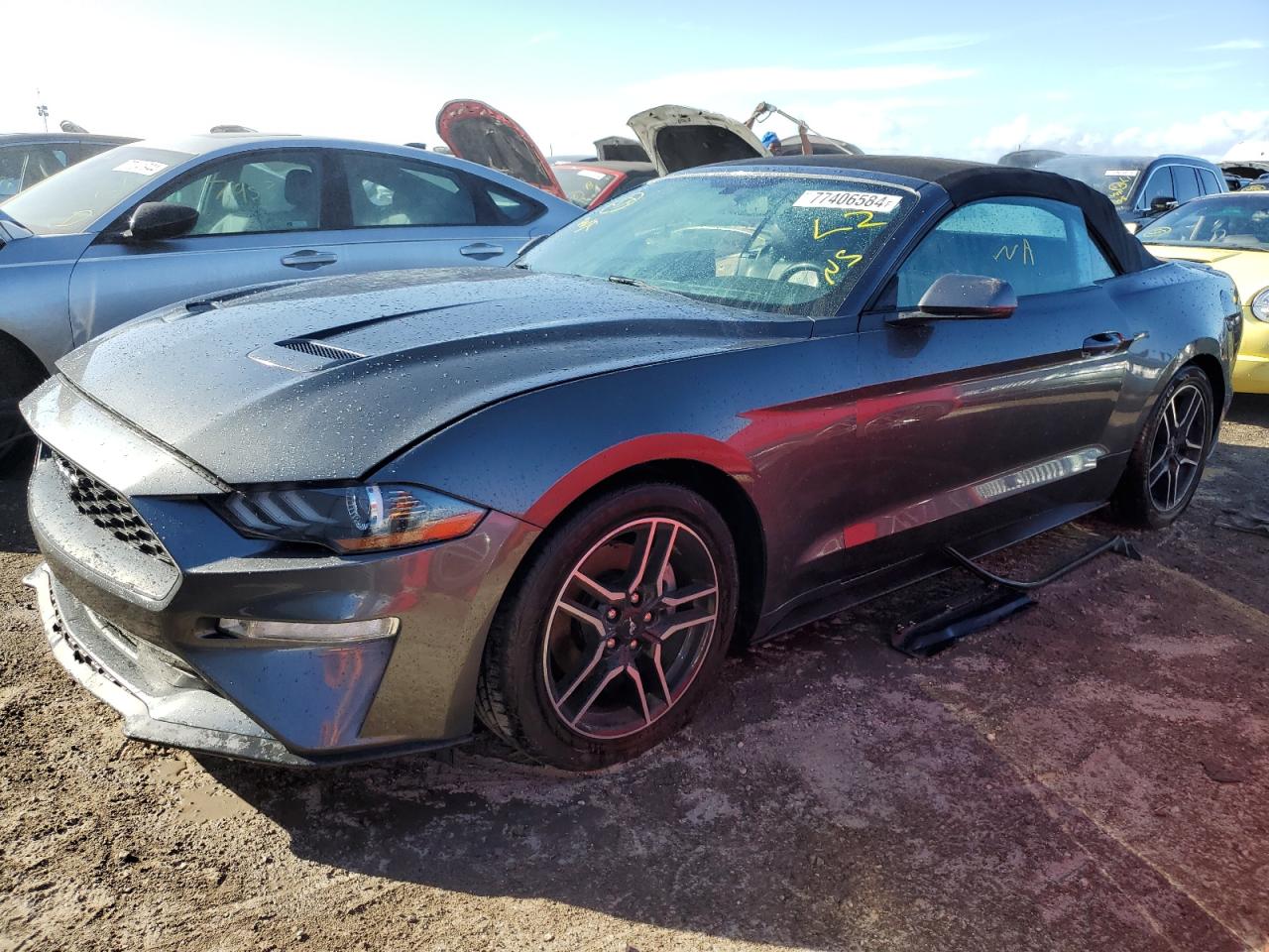 2019 Ford Mustang - Image 1