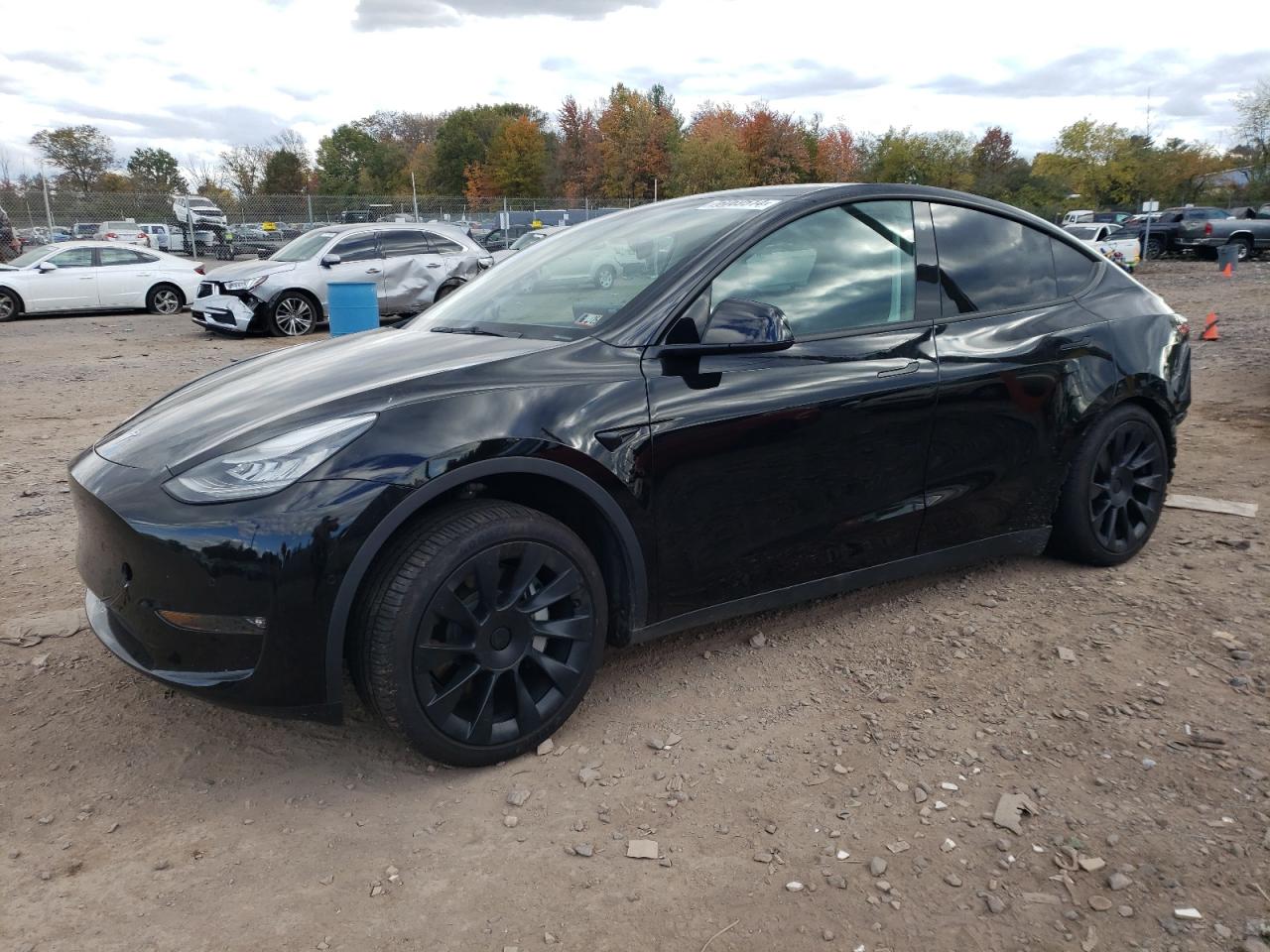 5YJYGDEE8MF119805 2021 Tesla Model Y