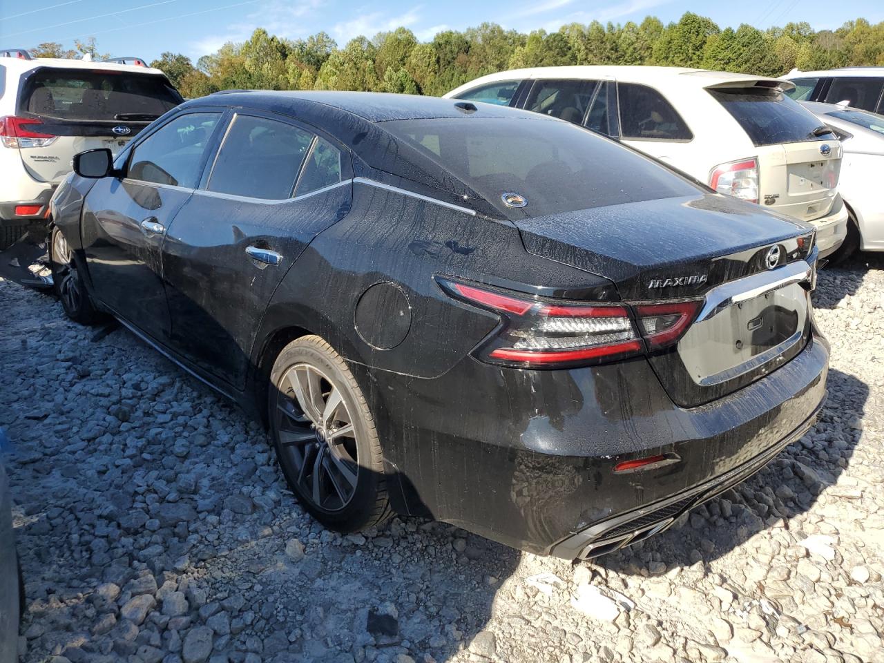 2019 Nissan Maxima - Image 2