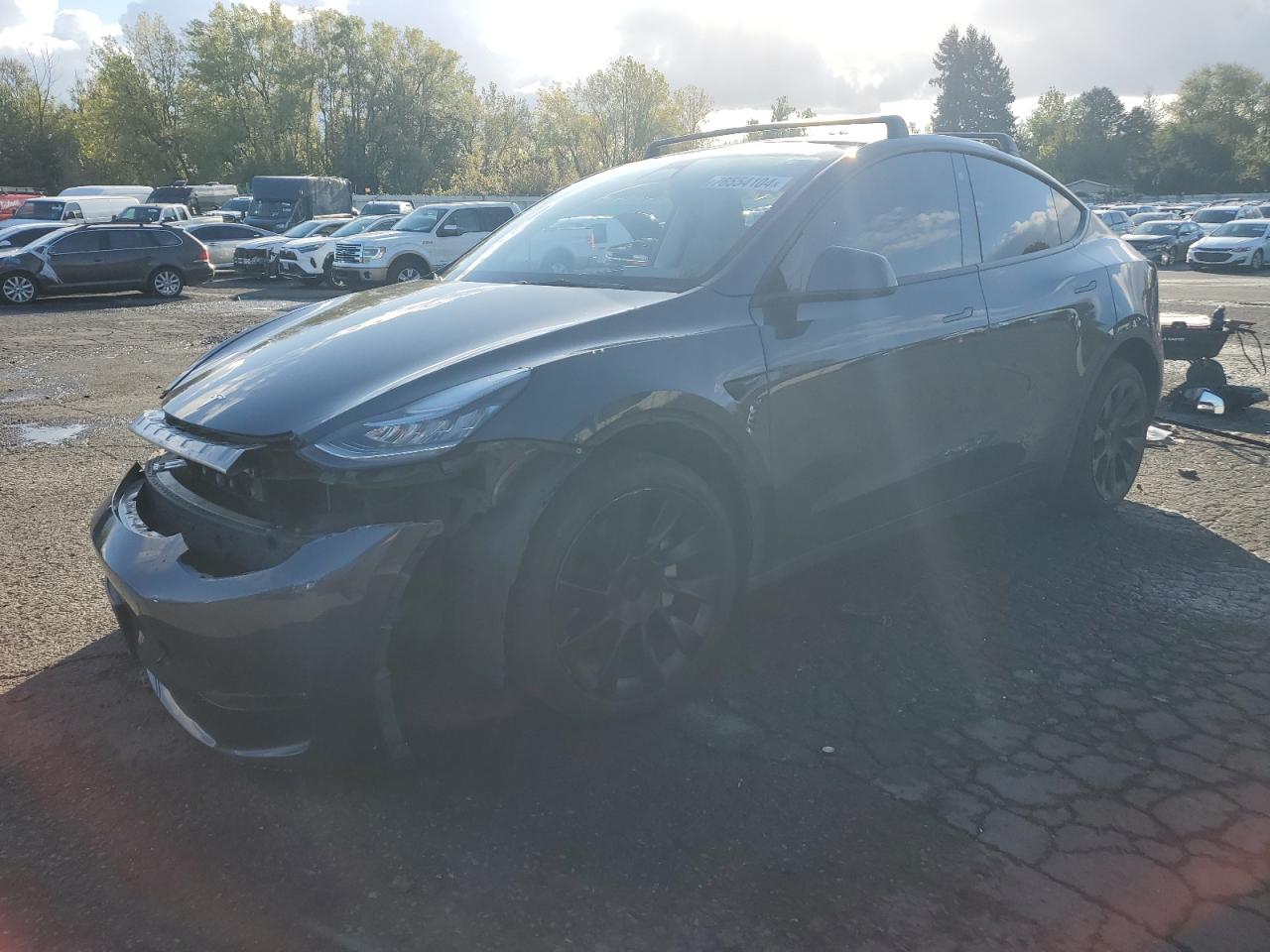 VIN 7SAYGDEEXPF598767 2023 TESLA MODEL Y no.1