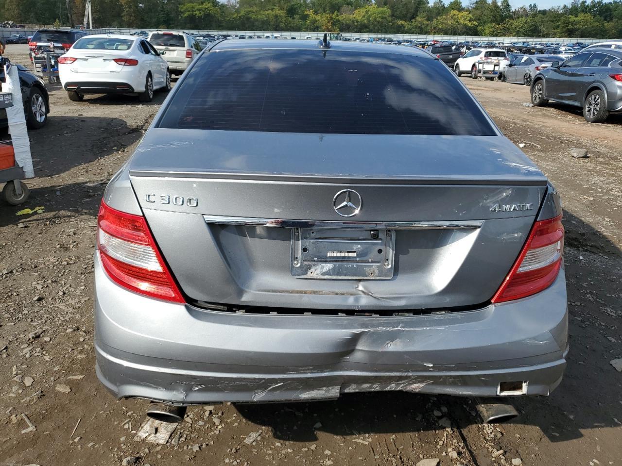 2010 Mercedes-Benz C 300 4Matic VIN: WDDGF8BBXAR125830 Lot: 73505764