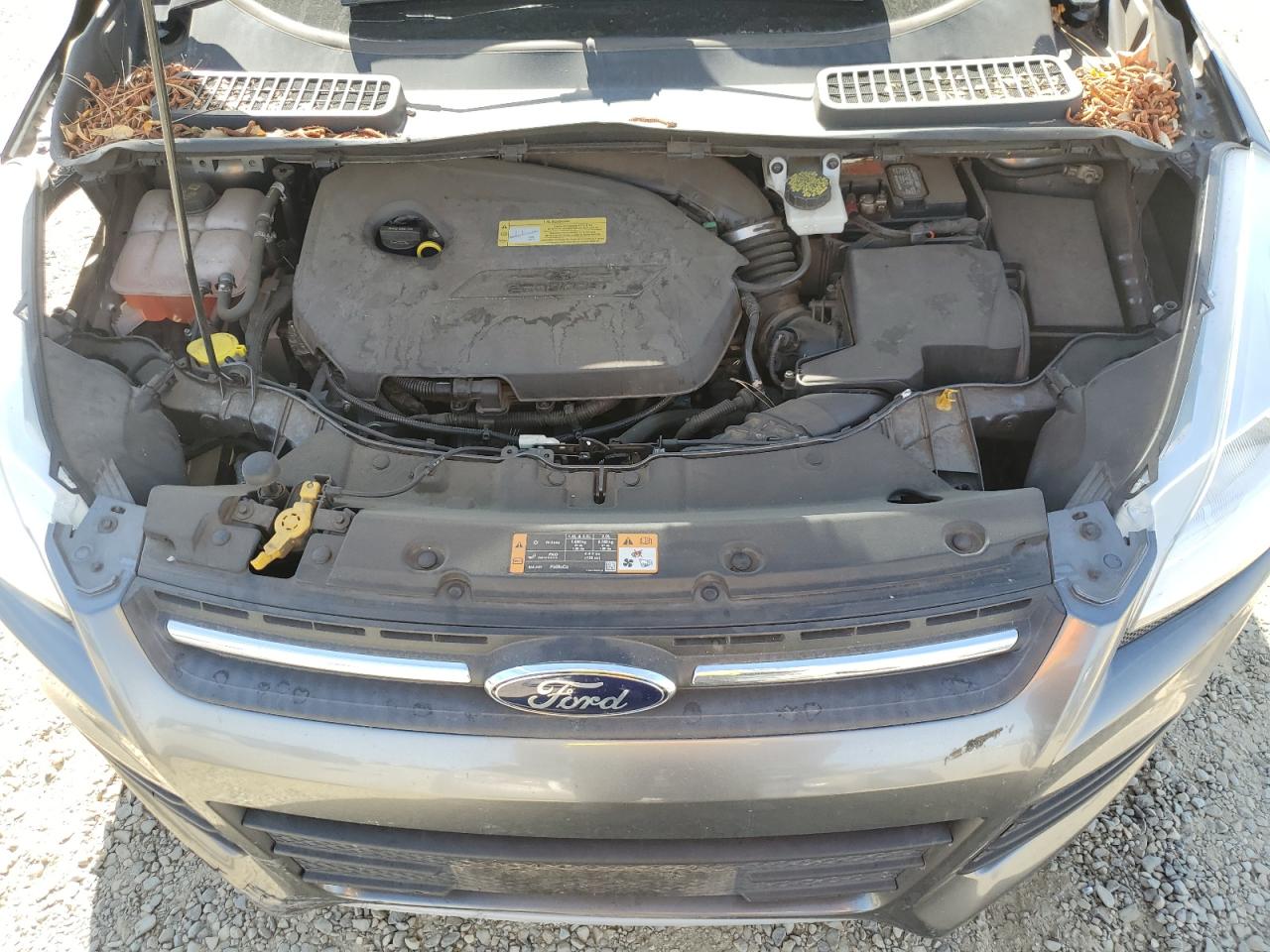 2014 Ford Escape Se VIN: 1FMCU0GX3EUC00936 Lot: 75058734