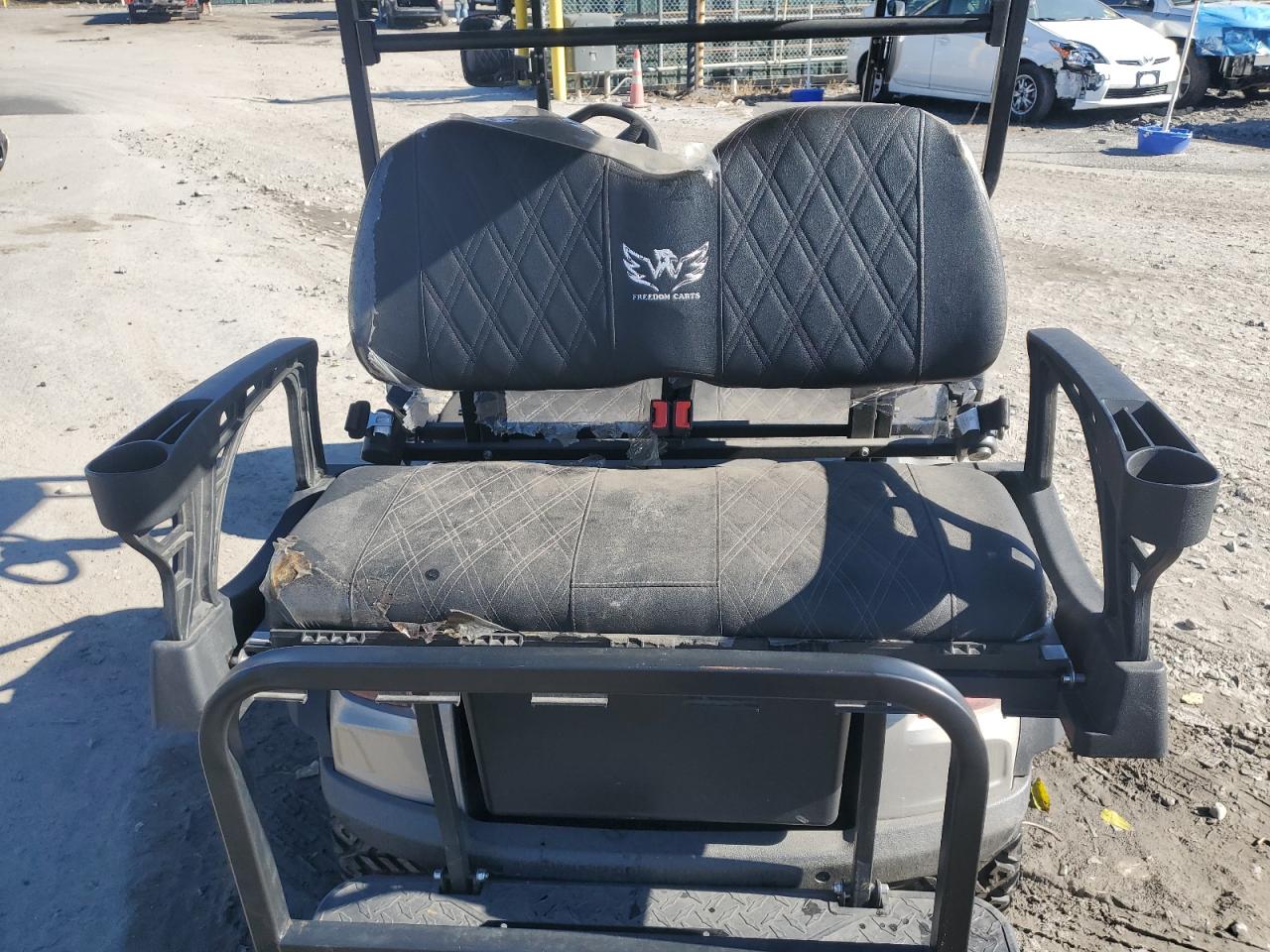 2023 Golf Cart VIN: R67FJPP31NS000319 Lot: 78166674