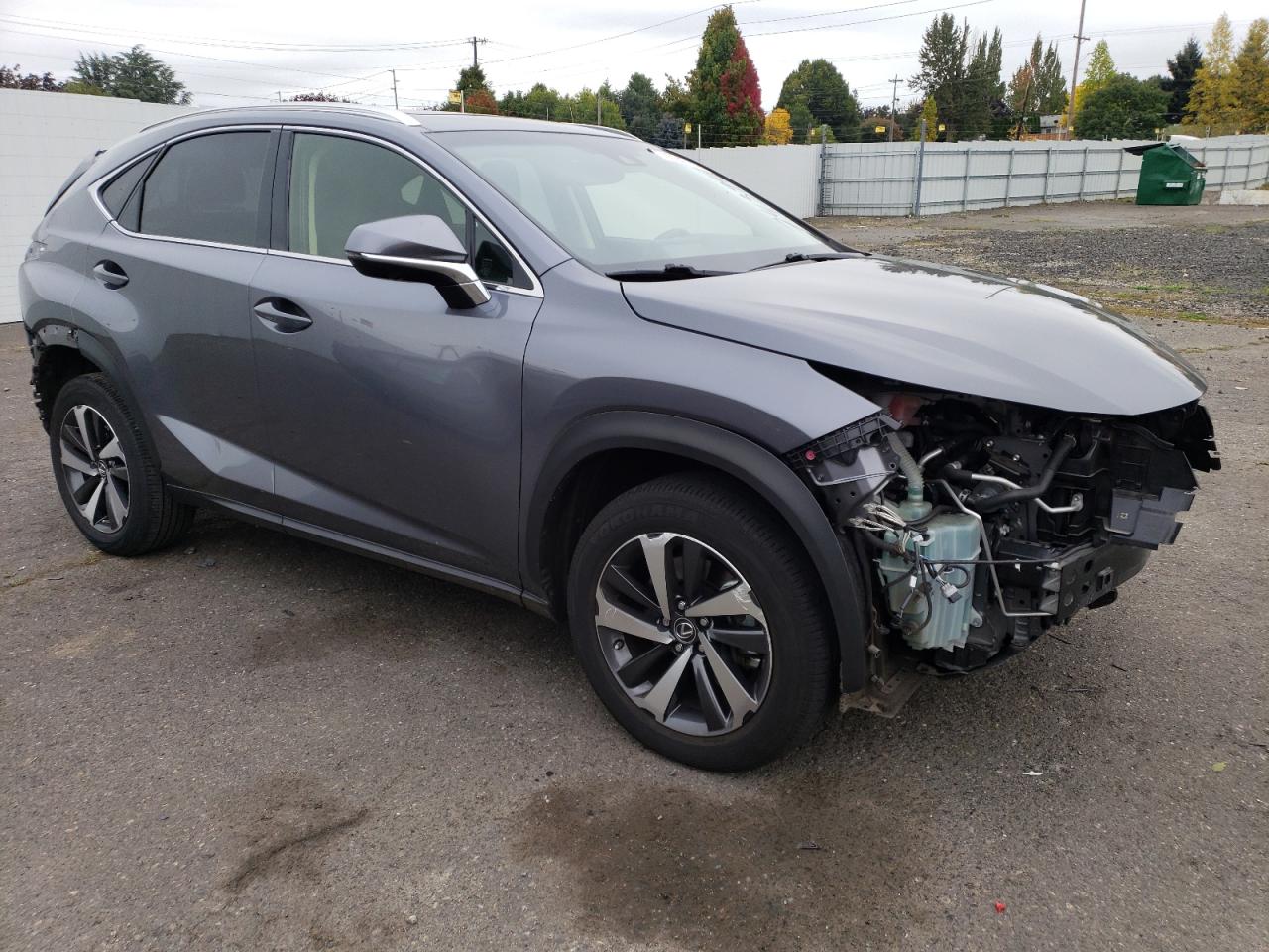 2019 Lexus NX - Image 4