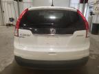 2013 Honda Cr-V Exl იყიდება Avon-ში, MN - Front End