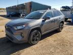 2019 Toyota Rav4 Xle na sprzedaż w Colorado Springs, CO - Hail