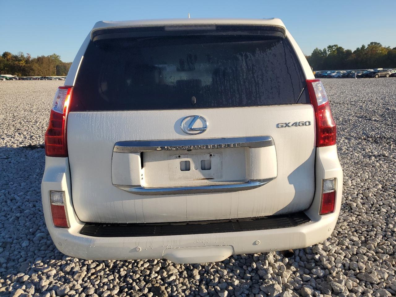 2013 Lexus Gx 460 VIN: JTJBM7FX0D5063101 Lot: 75626764