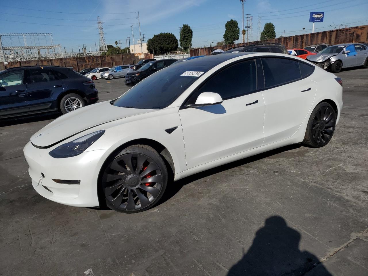 VIN 5YJ3E1EC0PF592583 2023 TESLA MODEL 3 no.1