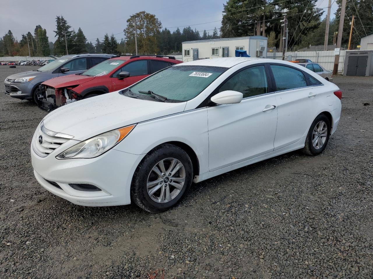 2013 Hyundai Sonata Gls VIN: 5NPEB4AC3DH728985 Lot: 76553684