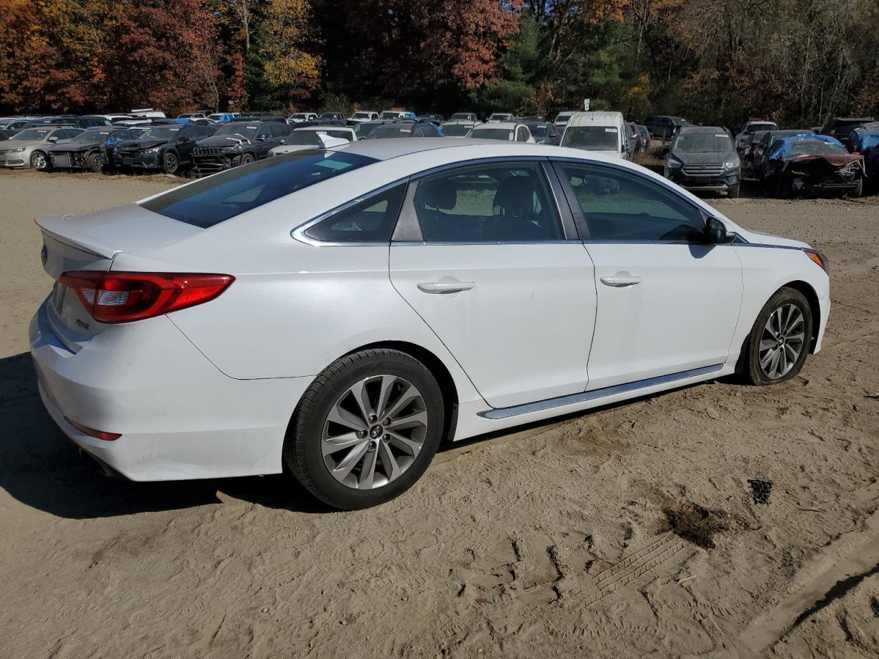 2016 Hyundai Sonata Sport VIN: 5NPE34AF9GH422613 Lot: 77518104