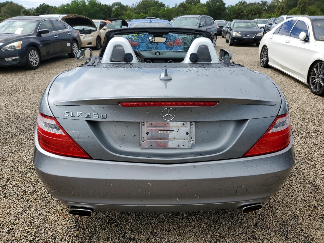 WDDPK4HA4DF073829 2013 Mercedes-Benz Slk 250