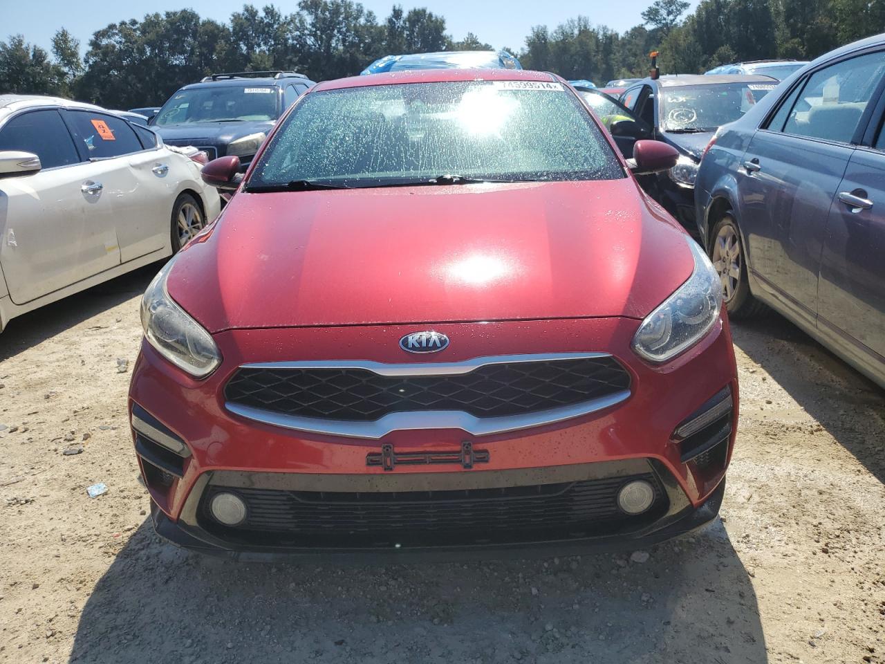2019 Kia Forte - Image 5
