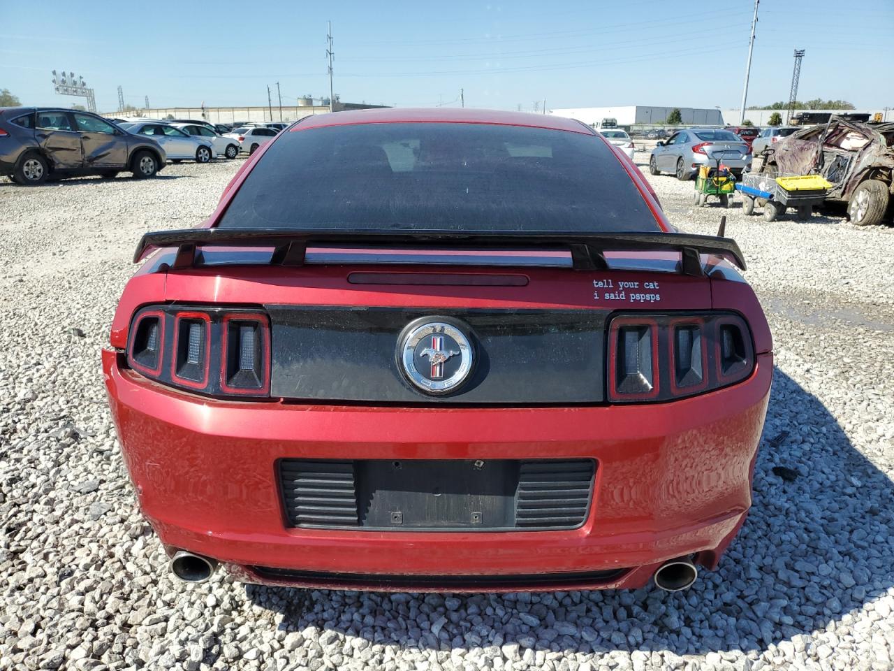 2013 Ford Mustang VIN: 1ZVBP8AM7D5238423 Lot: 74681014