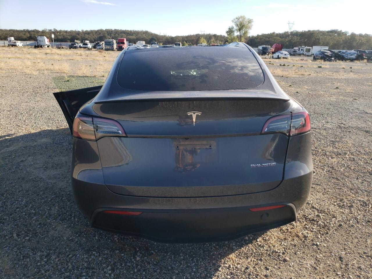 2023 Tesla Model Y VIN: 7SAYGDEF5PF737969 Lot: 77382314