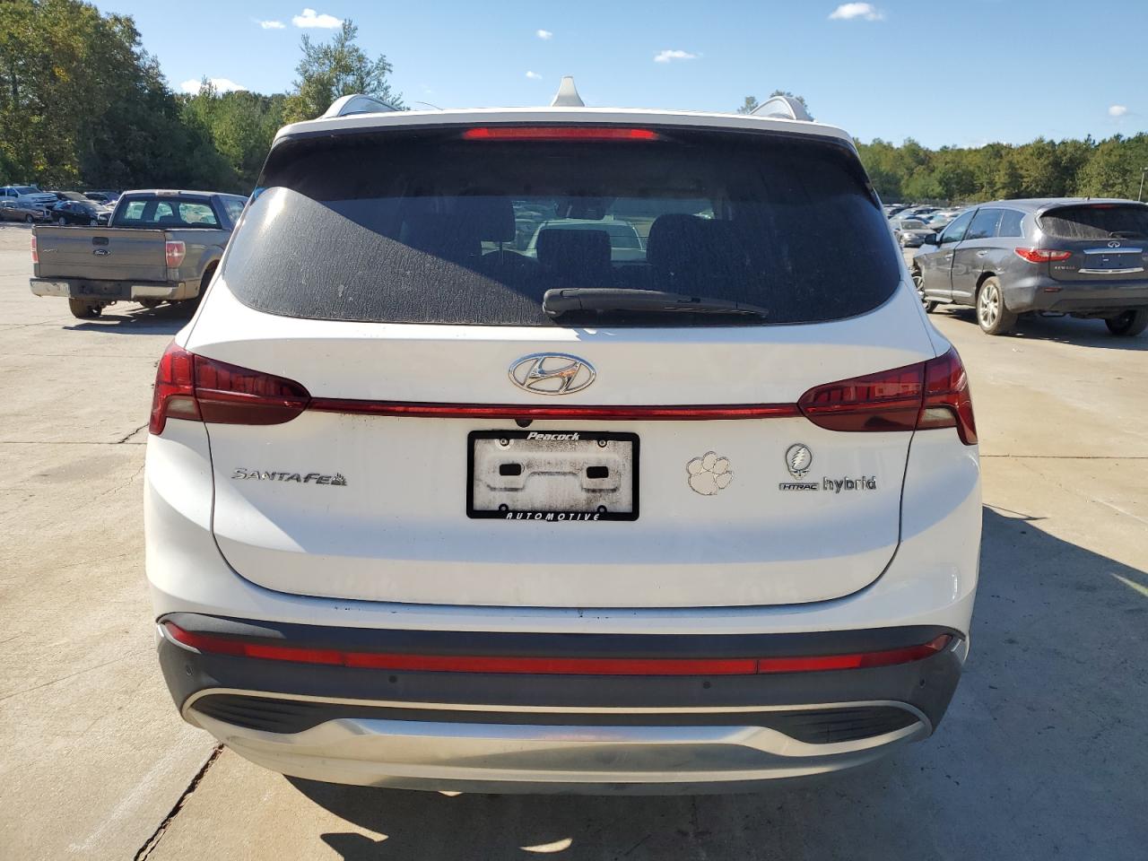 2021 Hyundai Santa Fe Sel Premium VIN: KM8S3DA16MU010198 Lot: 75877724