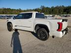 2024 Toyota Tundra Crewmax Platinum de vânzare în Gaston, SC - All Over