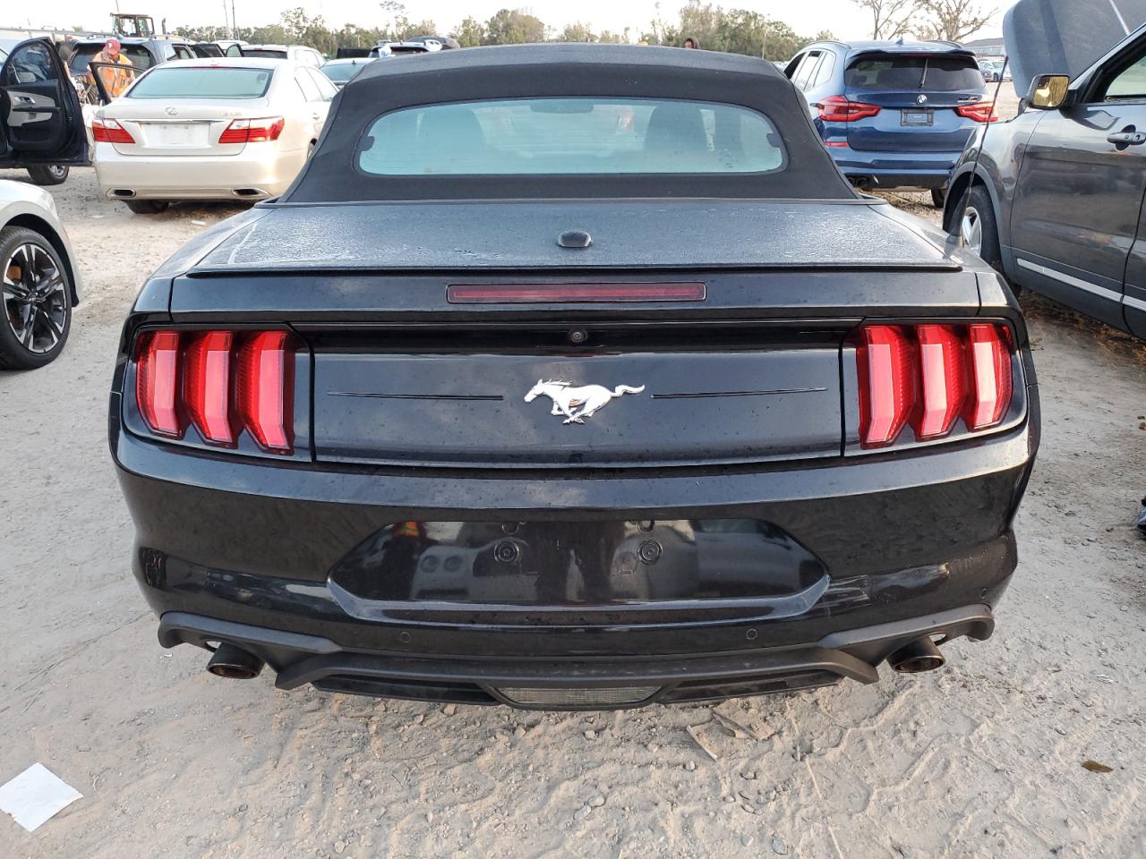 2018 Ford Mustang VIN: 1FATP8UH9J5109879 Lot: 76989404