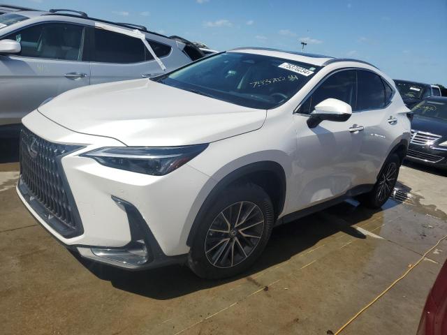 2024 Lexus Nx 250 Premium