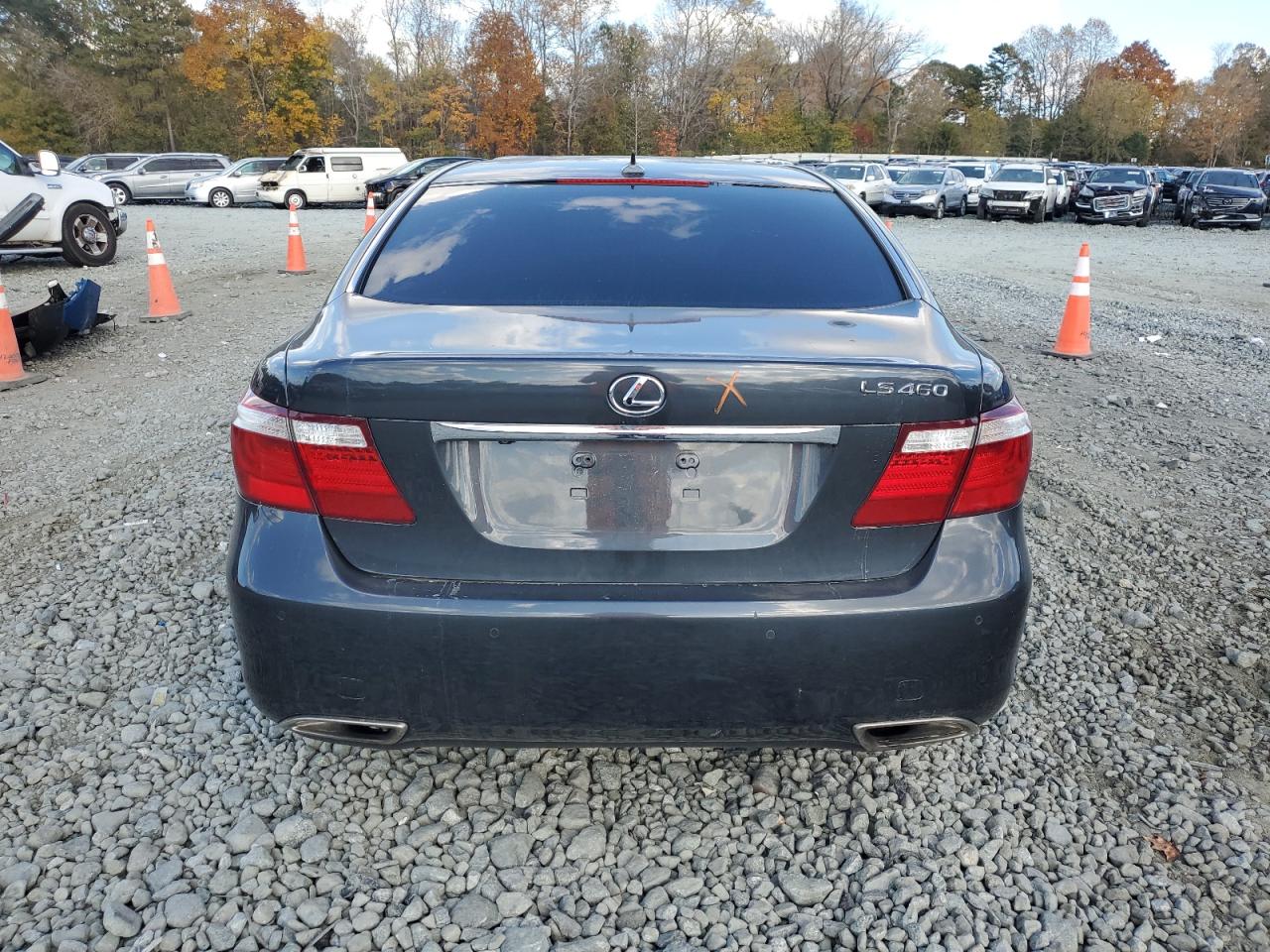 2009 Lexus Ls 460 VIN: JTHBL46F995089973 Lot: 77168504