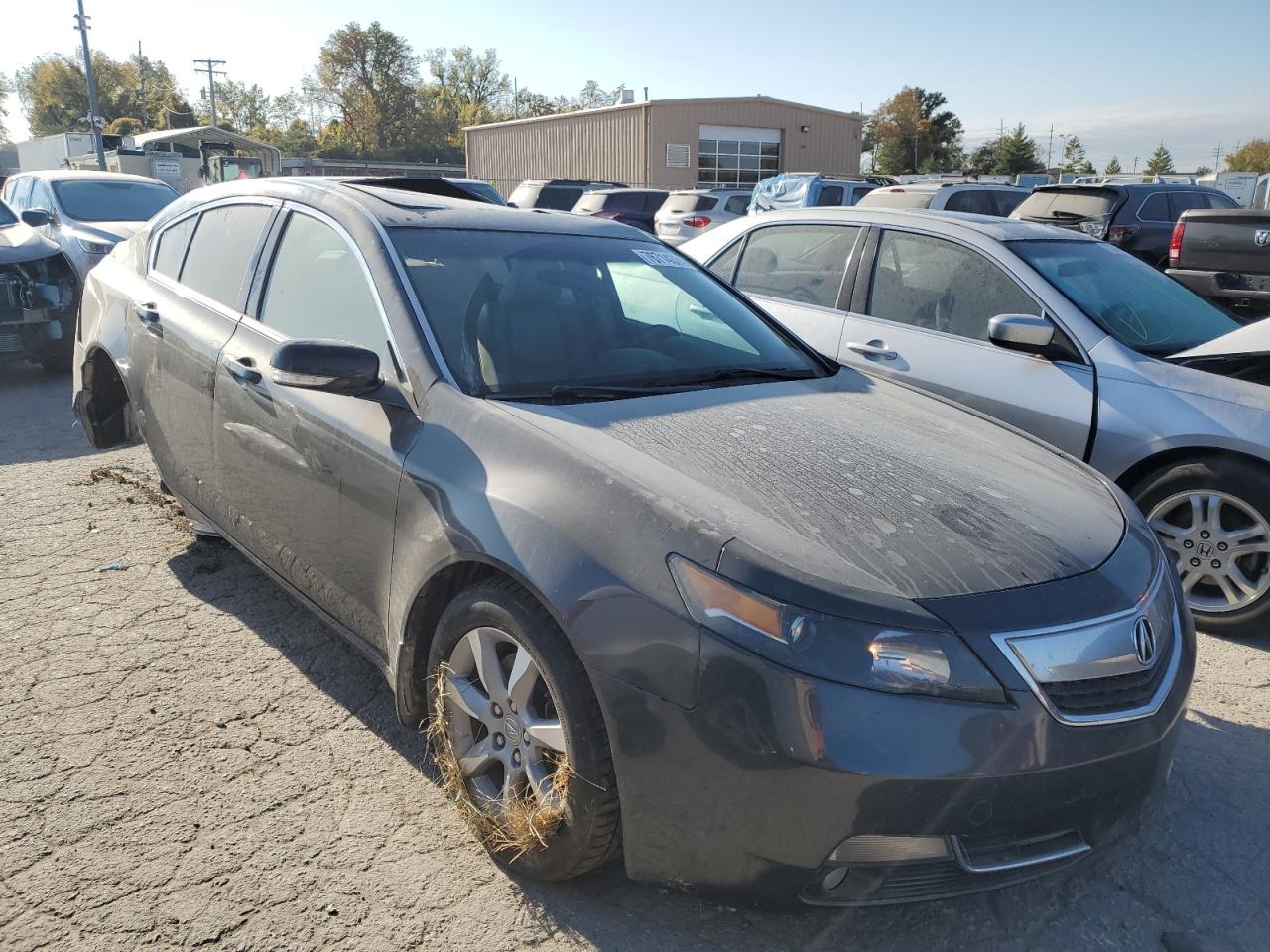 VIN 19UUA8F51DA008559 2013 ACURA TL no.4