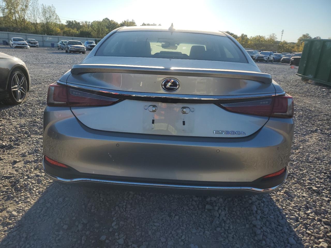 2019 Lexus Es 300H VIN: JTHB21B17K2023232 Lot: 76379094