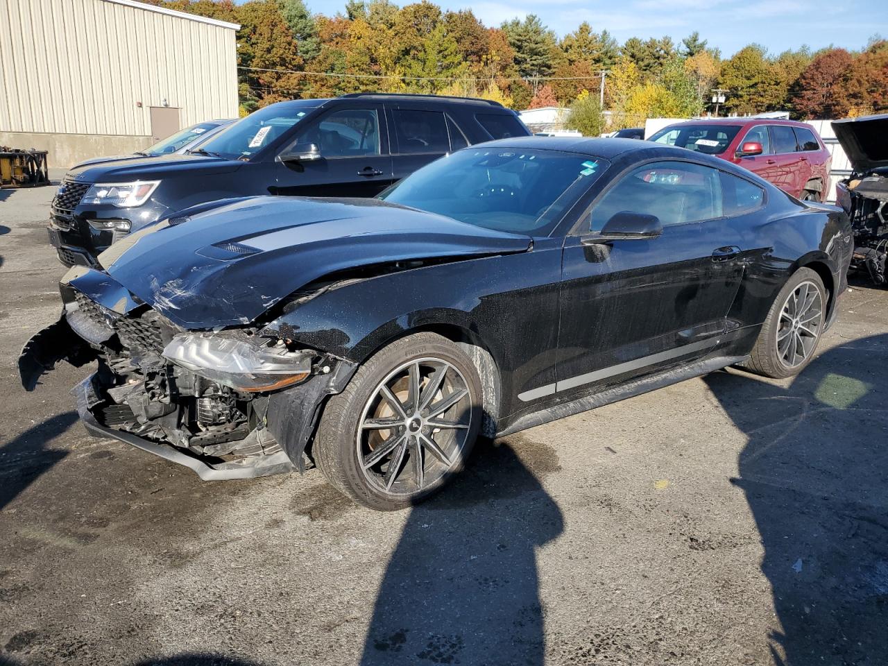 2021 Ford Mustang - Image 1