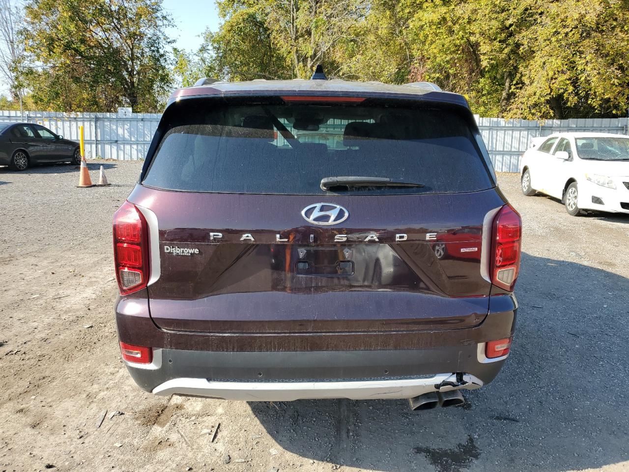 2020 Hyundai Palisade Sel VIN: KM8R3DHE5LU153794 Lot: 74693584