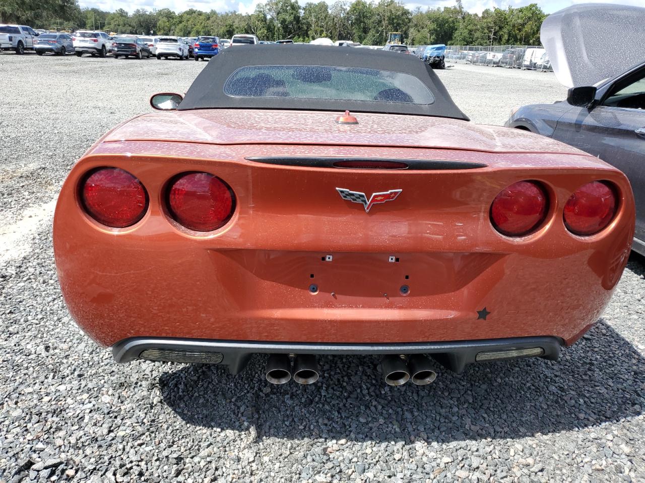 2005 Chevrolet Corvette VIN: 1G1YY34U855127611 Lot: 74442164