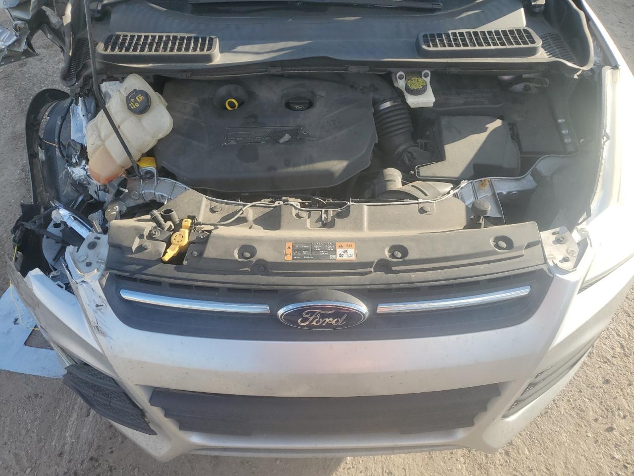 2014 Ford Escape Se VIN: 1FMCU0G91EUB69509 Lot: 77416694