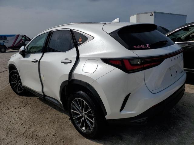 JTJADCAZ1N5001141 Lexus NX 250  2