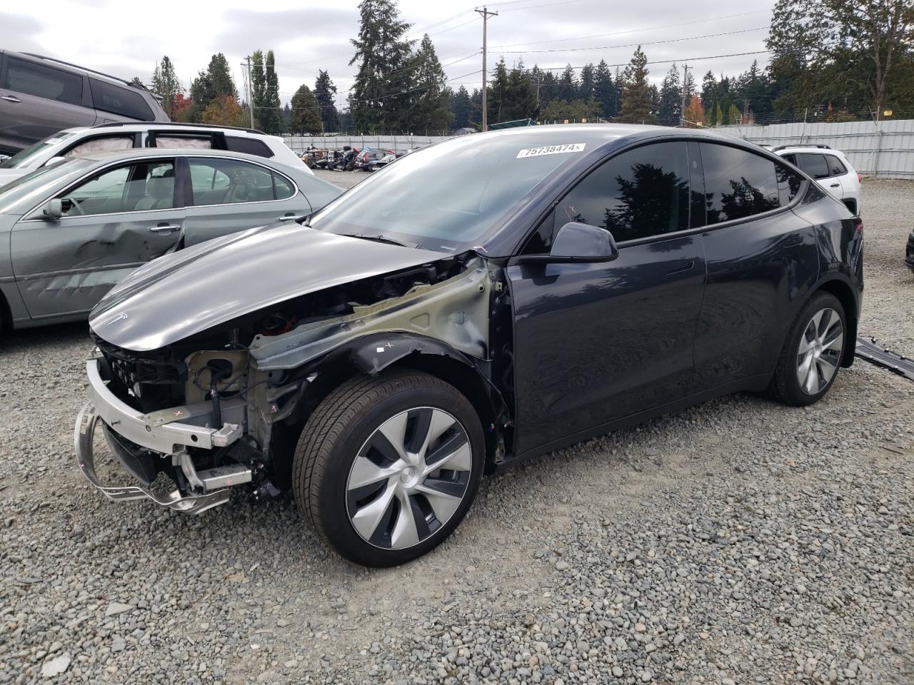 7SAYGDEE6RF013587 2024 TESLA MODEL Y - Image 1