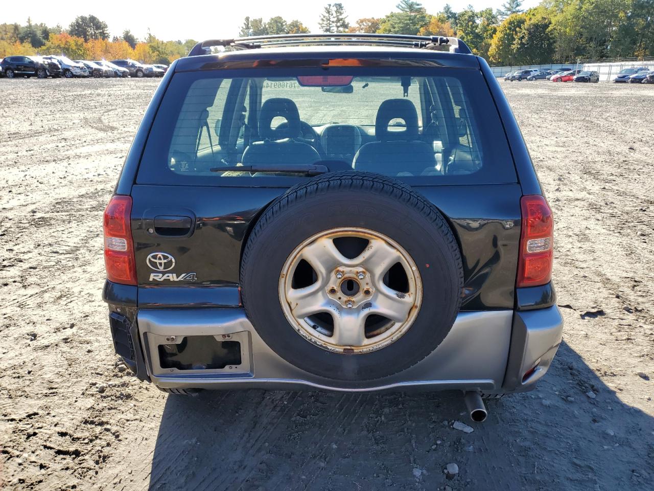 2004 Toyota Rav4 VIN: JTEGD20V640044239 Lot: 76166914