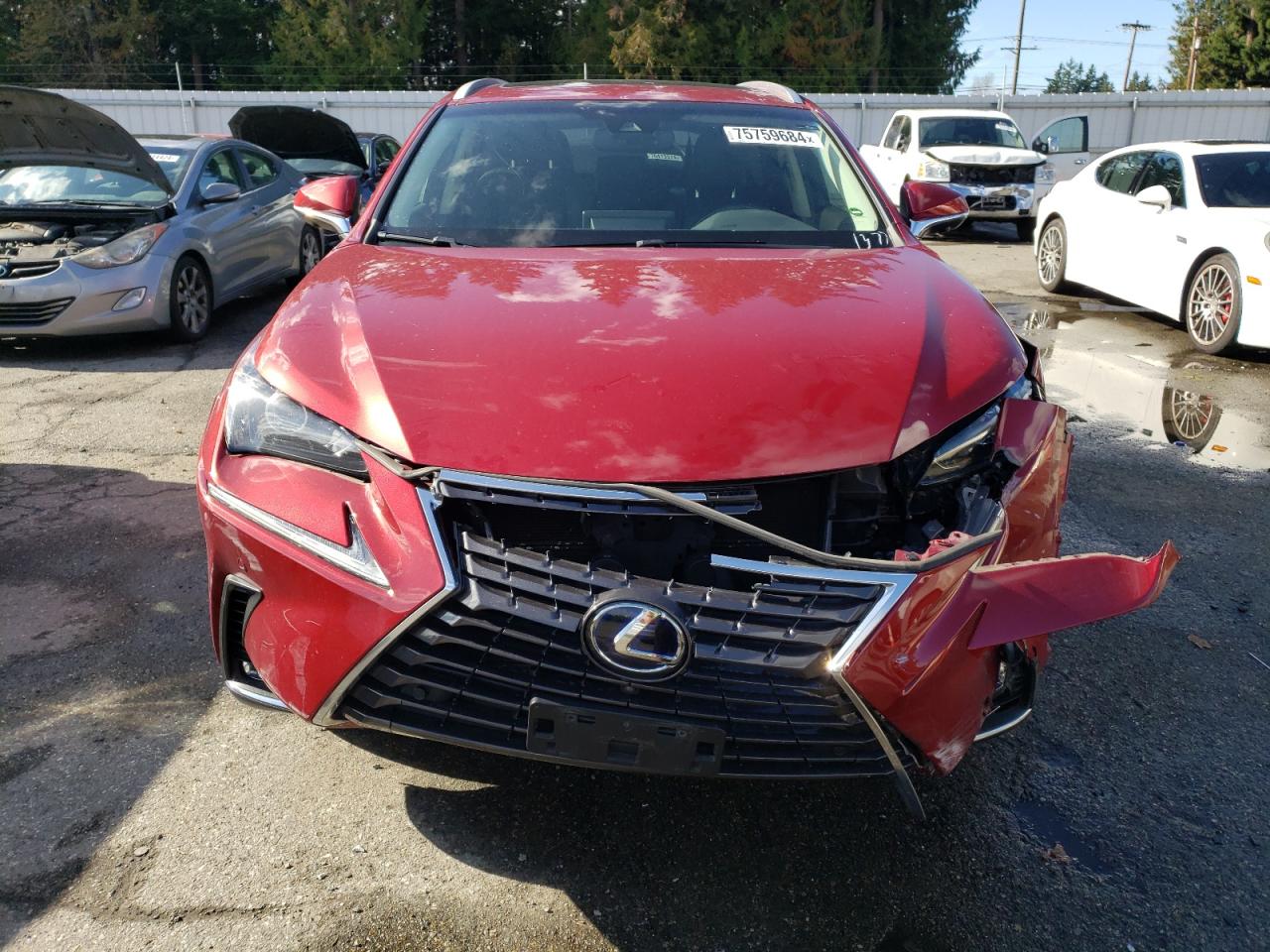 2019 Lexus Nx 300H VIN: JTJBJRBZXK2101377 Lot: 75759684