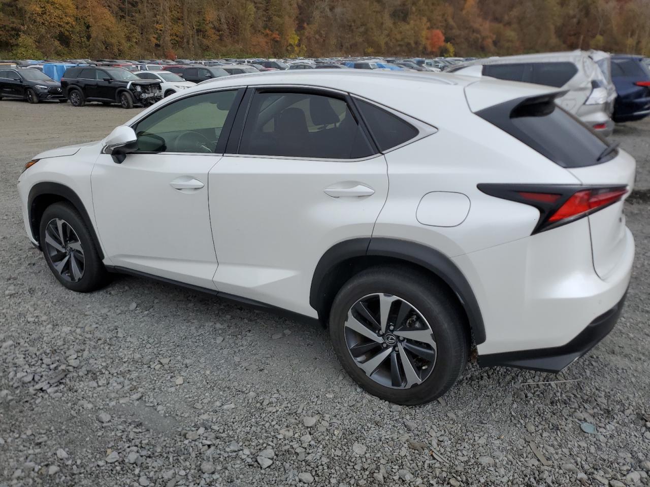 VIN JTJGARDZ8L2218377 2020 LEXUS NX no.2