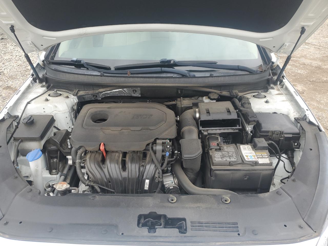 5NPE24AF1KH744870 2019 Hyundai Sonata Se