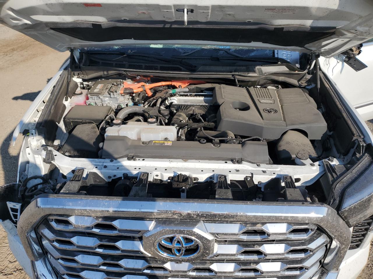 2023 Toyota Tundra Crewmax Platinum VIN: 5TFMC5EC8PX003822 Lot: 74786984