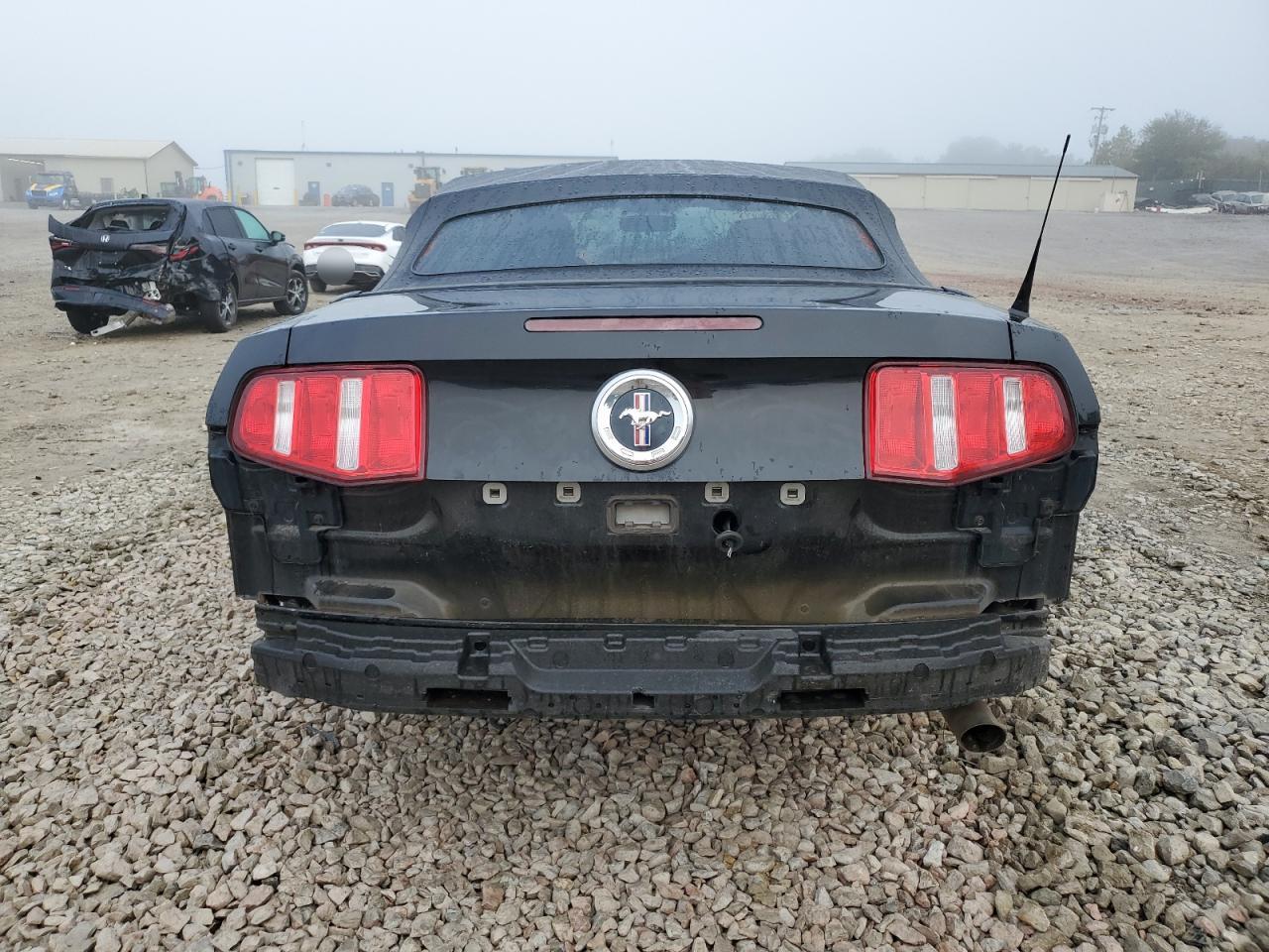 2010 Ford Mustang VIN: 1ZVBP8EN8A5164069 Lot: 74173784