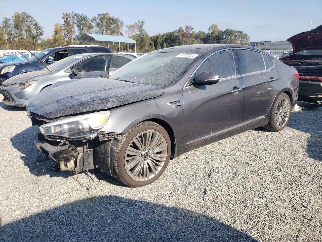 2015 Kia Cadenza Premium VIN: KNALN4D79F5183310 Lot: 74126624