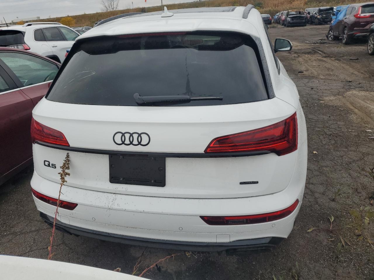 WA1GAAFY4R2102783 2024 Audi Q5 Premium 45