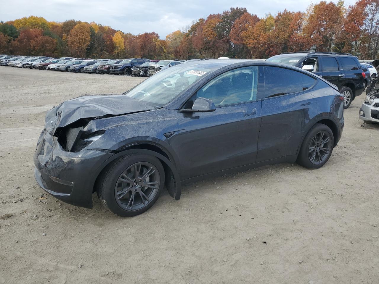 VIN 7SAYGDEE5RA323291 2024 TESLA MODEL Y no.1