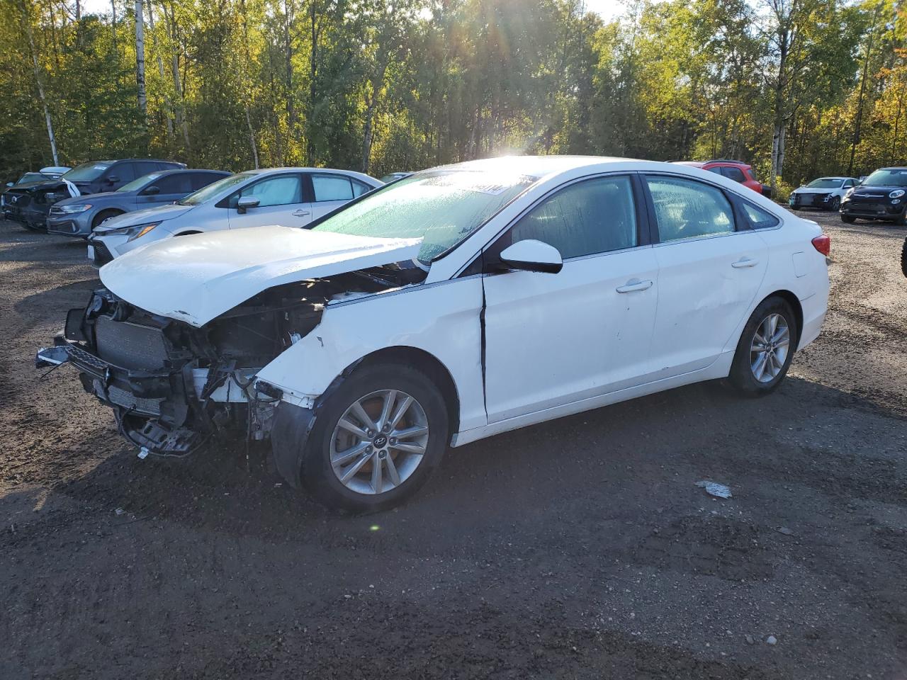 2016 Hyundai Sonata Se VIN: 5NPE24AF0GH324606 Lot: 73649114