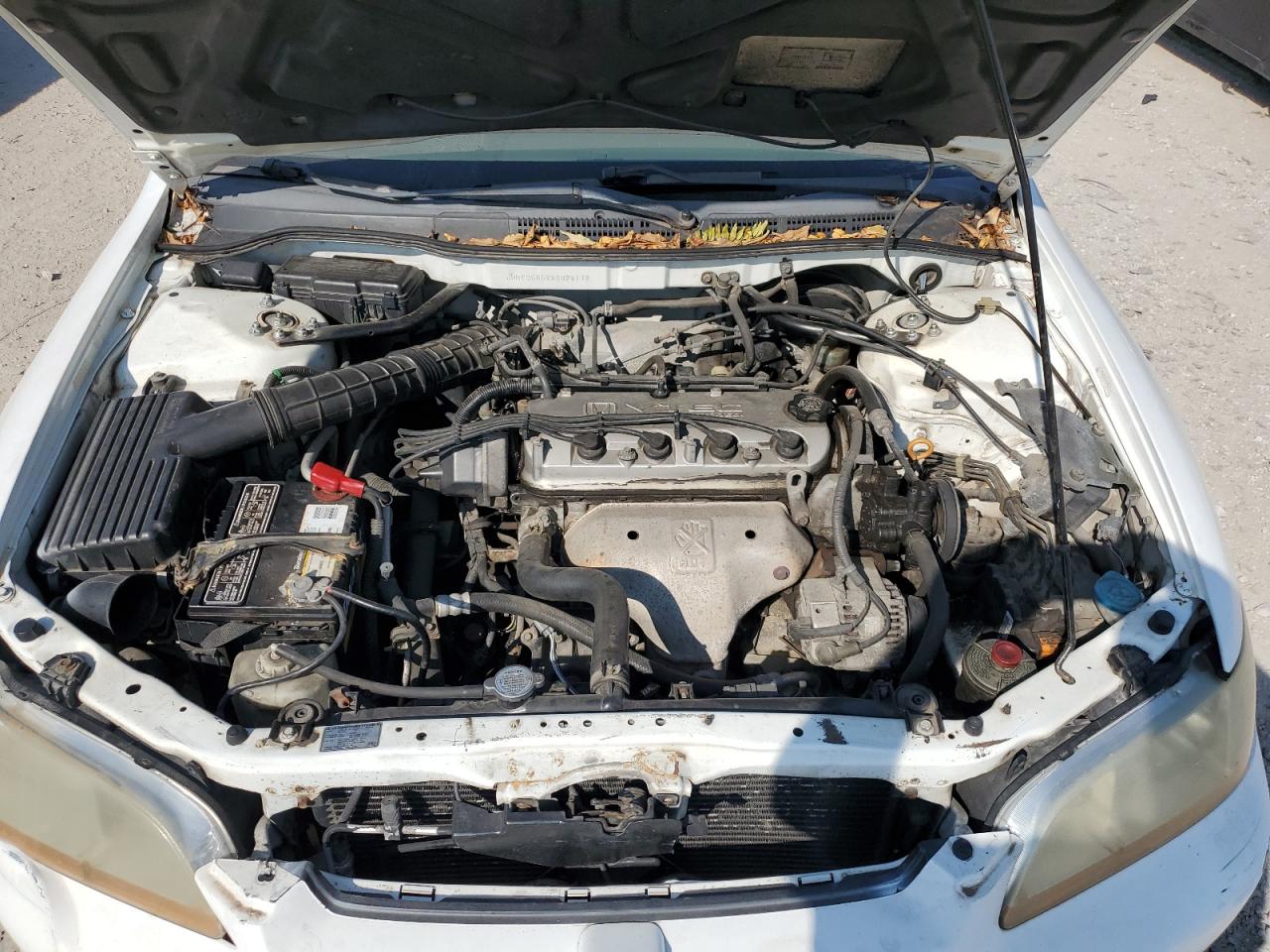 JHMCG5652XC028172 1999 Honda Accord Ex