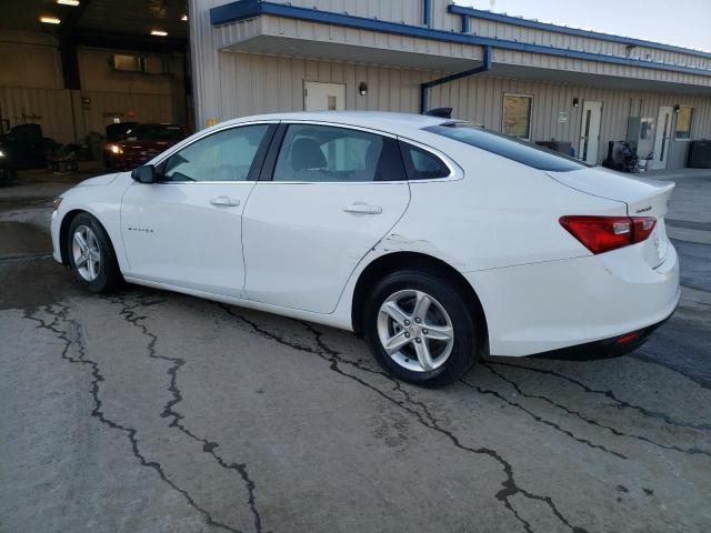  CHEVROLET MALIBU 2023 White