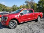 2023 Ford F150 Supercrew en Venta en Marlboro, NY - Water/Flood