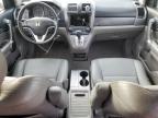 2008 Honda Cr-V Exl იყიდება Brookhaven-ში, NY - Front End