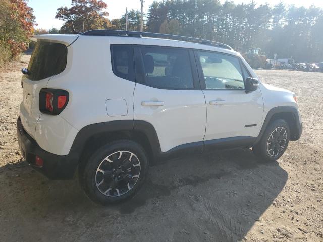 ZACNJDB19PPP69498 Jeep Renegade L 3