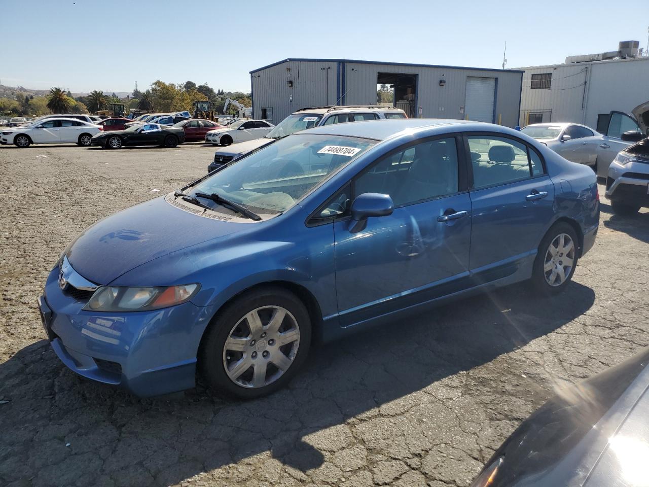 2009 Honda Civic Lx VIN: 1HGFA16589L011972 Lot: 74499704