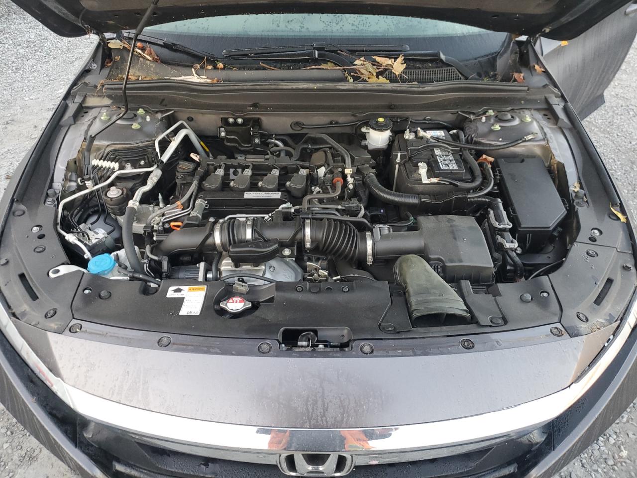 1HGCV1F56KA017925 2019 Honda Accord Exl